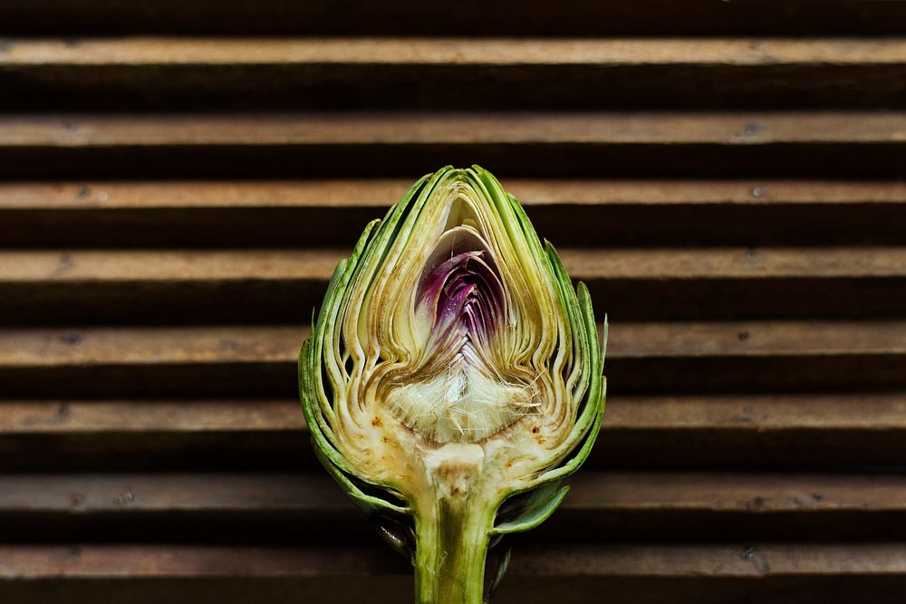 Closeup of cut half fresh artichoke