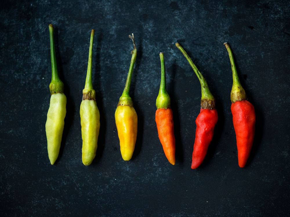Fresh chili peppers
