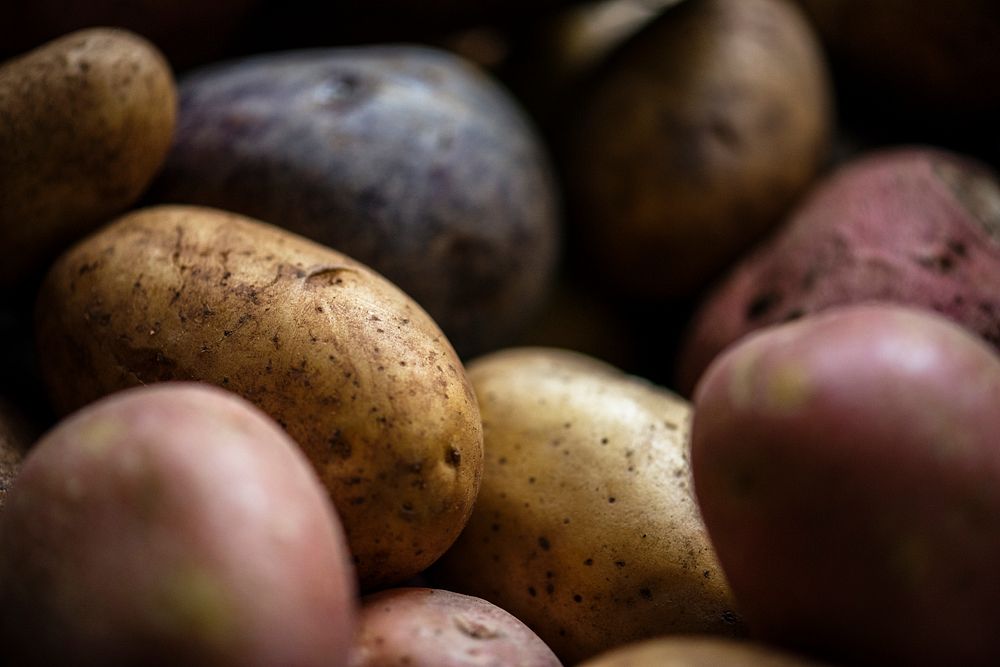 Fresh potatoes root vegetable