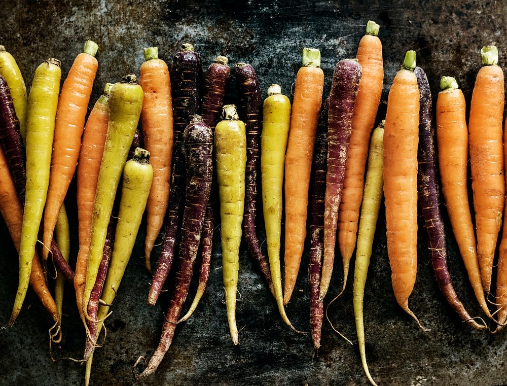 Closeup of yellow fresh organic carrots