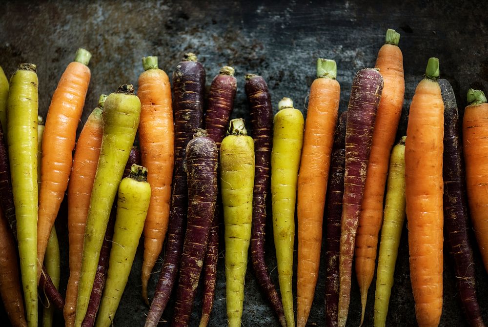 Closeup of yellow fresh organic carrots