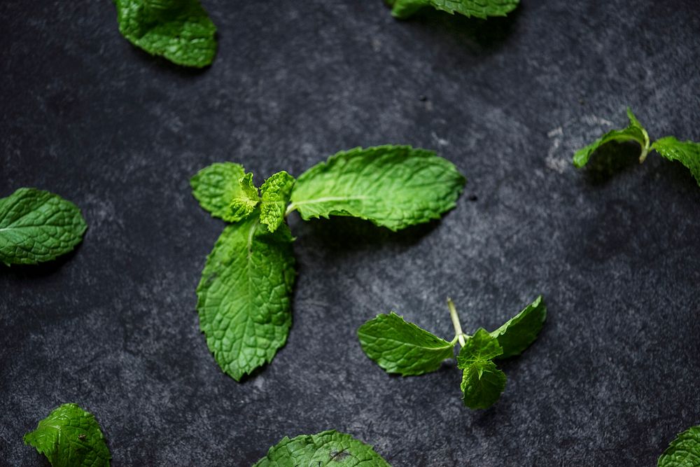Closeup of fresh mint leaves on black background