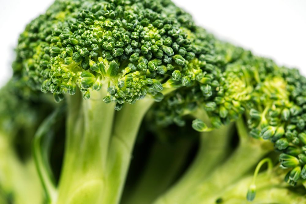 Fresh broccoli vegetable