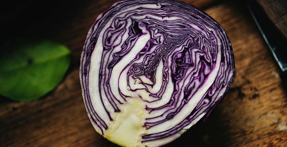 Fresh natural organic edible cabbage