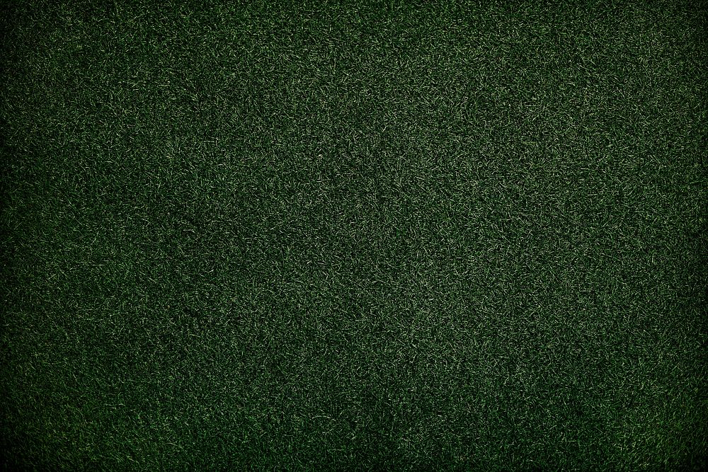 Texture  Green Grass Surface Wallpaper Concept