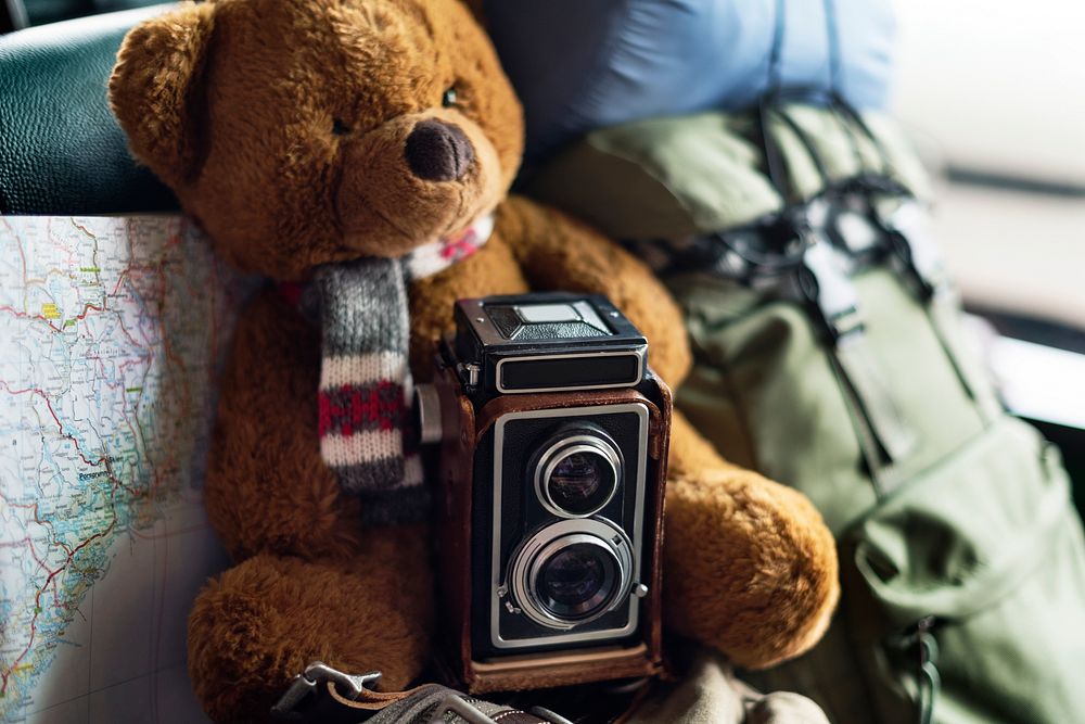 Closeup of brown bear doll with camera and map traveling