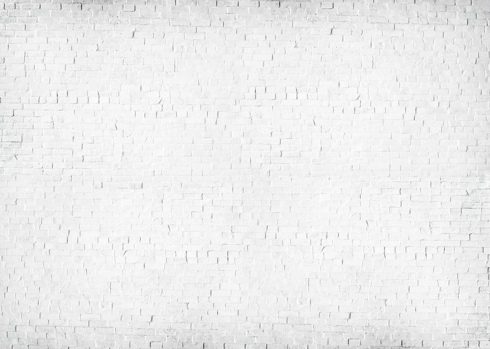 Textured White Painted Brick Wall 