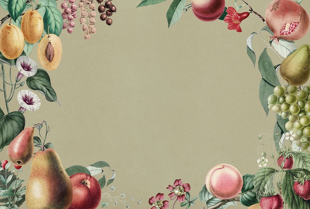 Antique illustration of fruits vintage style