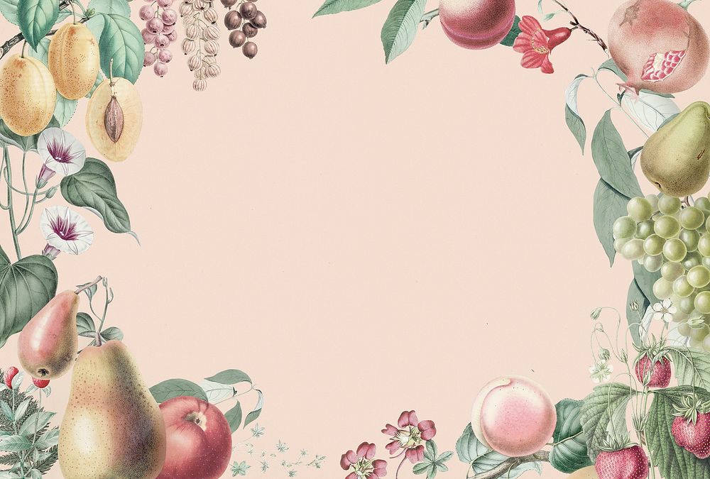 Antique illustration of fruits vintage style