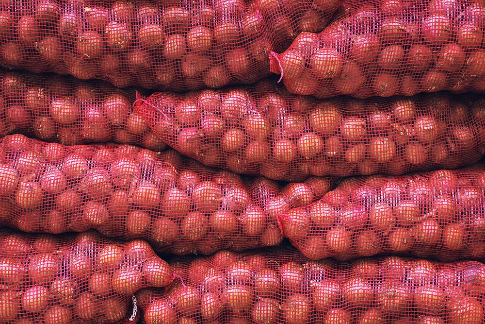 Bags of red onions