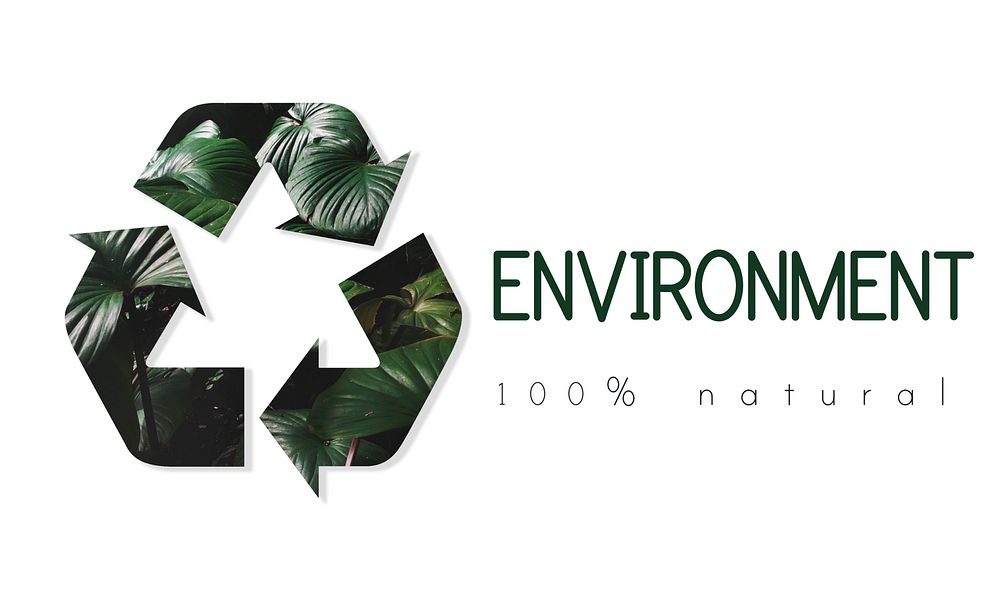 Recycle Environmental Conservation Nature Ecology