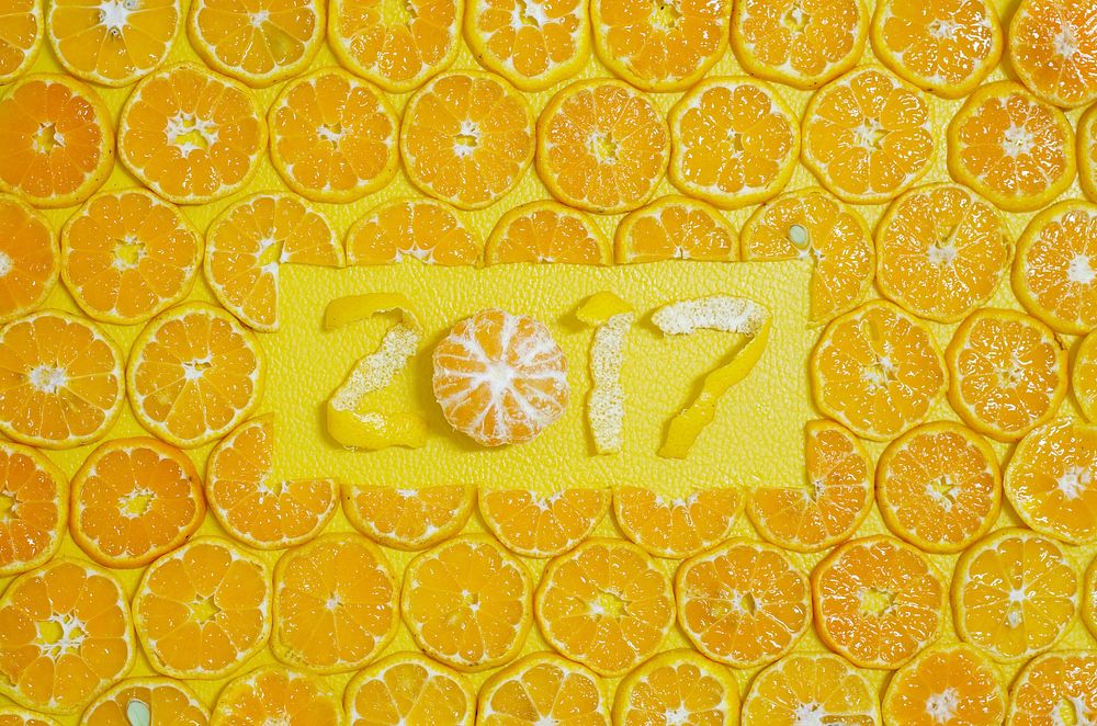 Round Orange Slices Fruit 2017 xmas