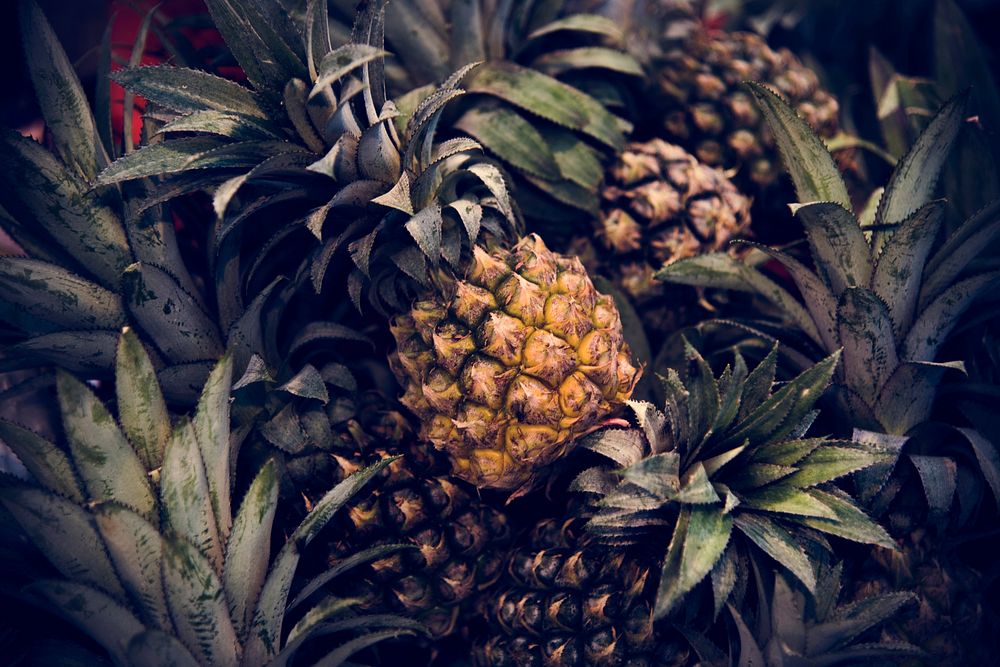 Pineapple Ananas Citrus Fruit Juicy Nutrition Pina
