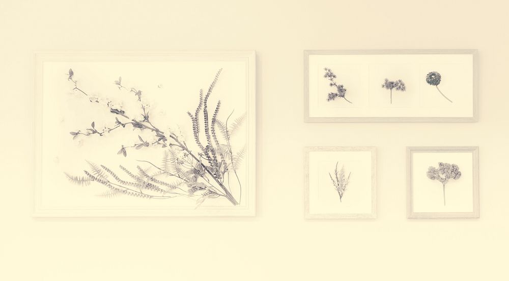 Drawing Flowers Inside Frame on the Wall