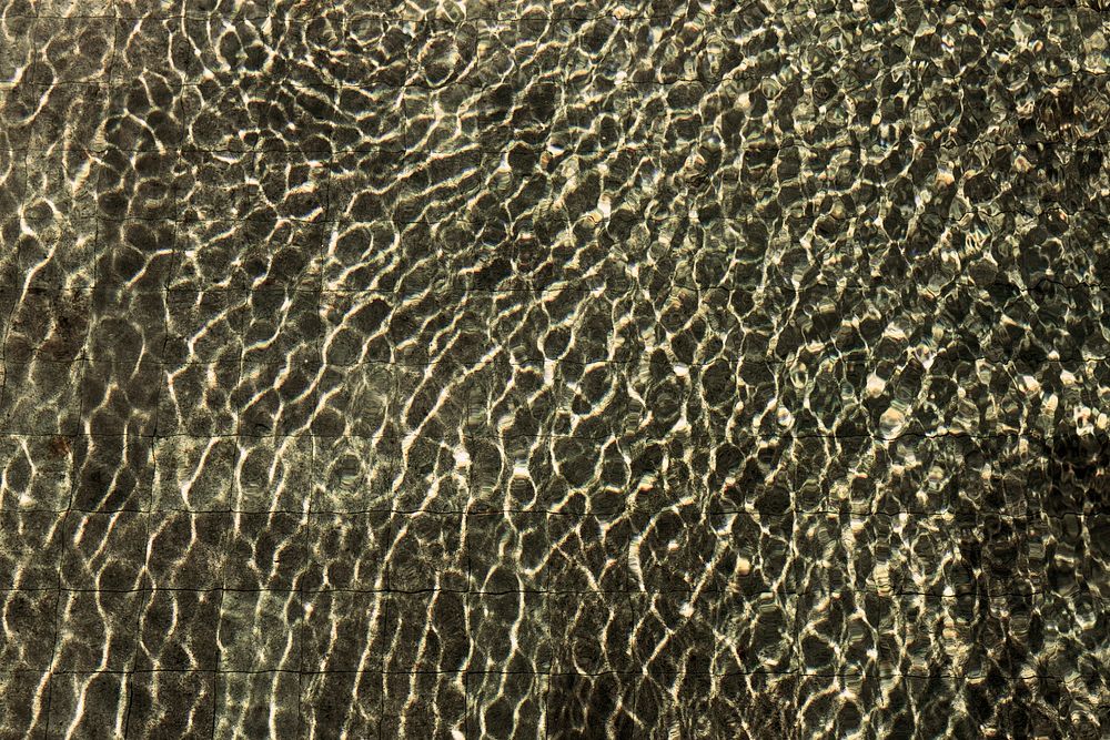 Water Pool Wave Reflection Ripple Abstract