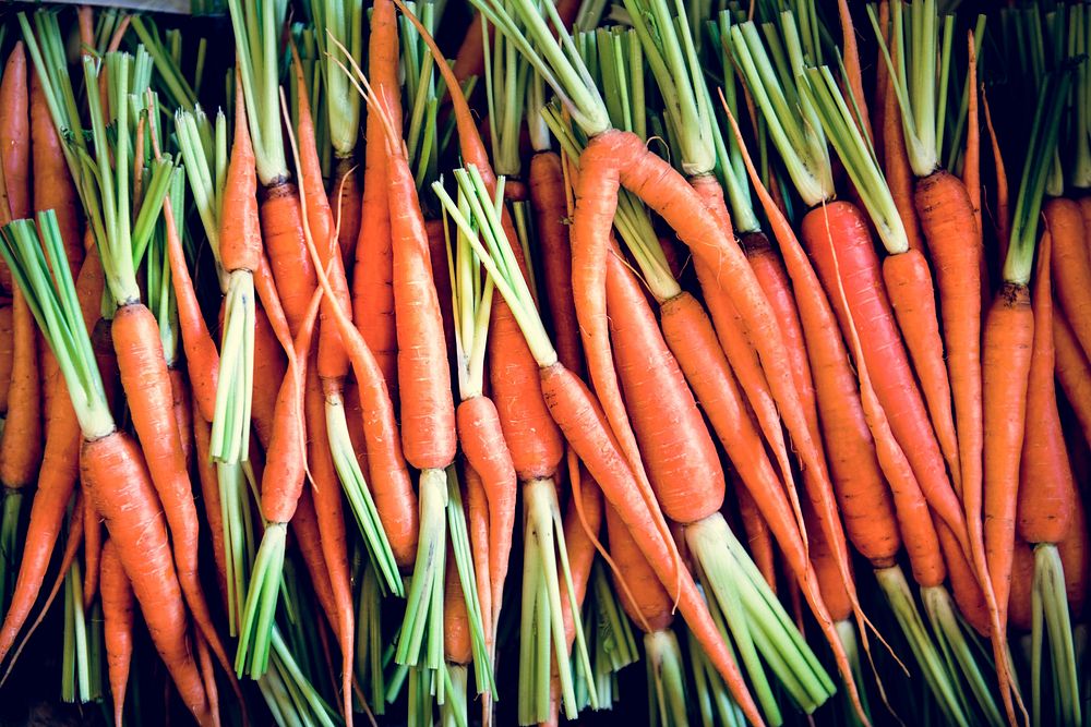 Organic carrot natural food freshness