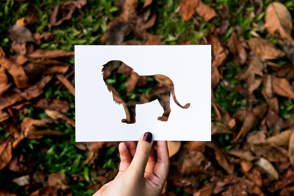 Hand Hold Lion Paper Carving with Grass Background