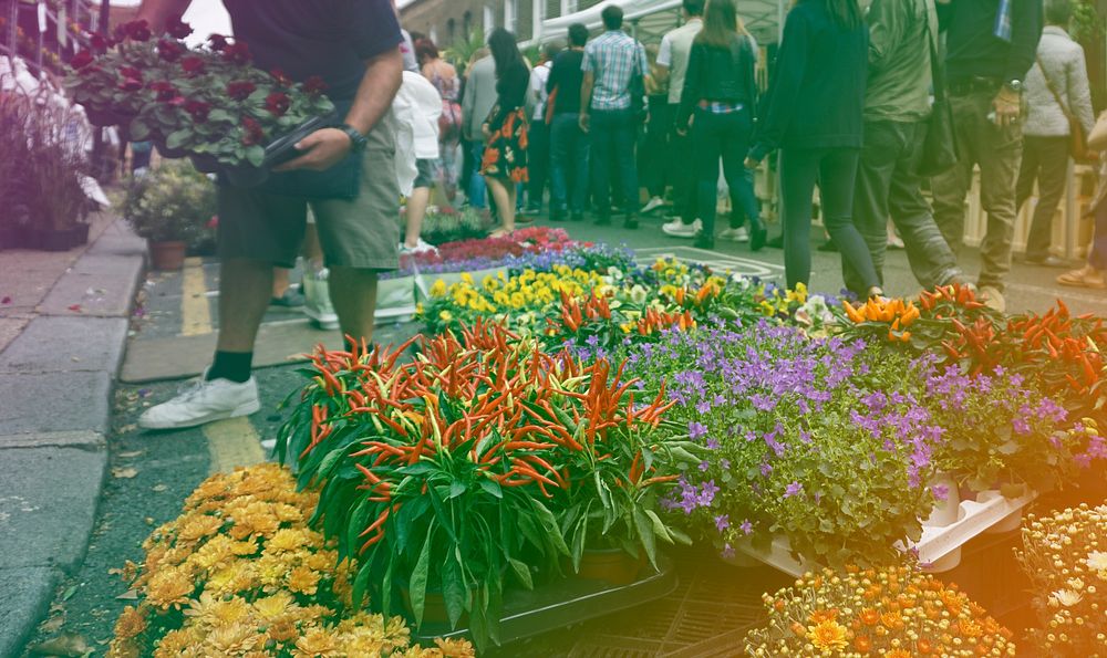 Beautiful Colourful Flowers Street Market