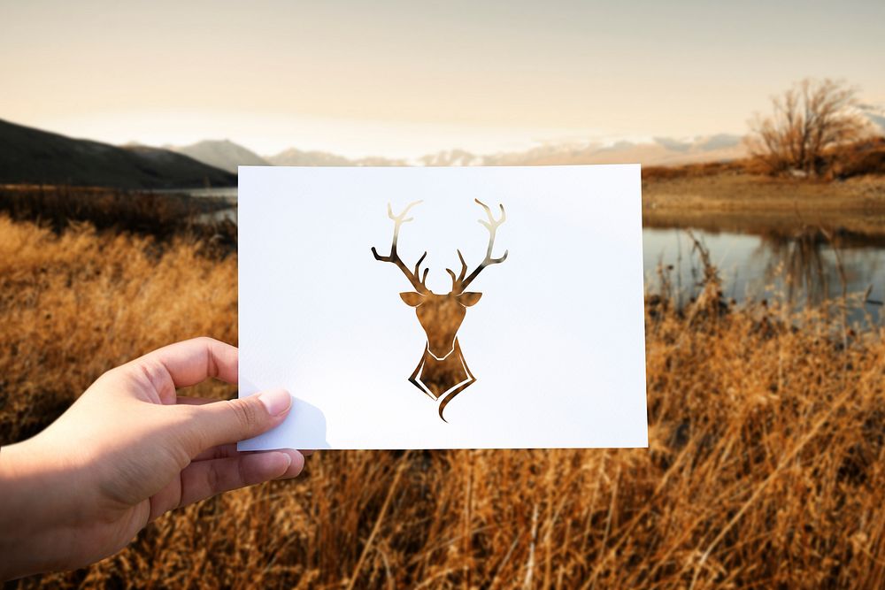 Wild life animal perforated paper moose