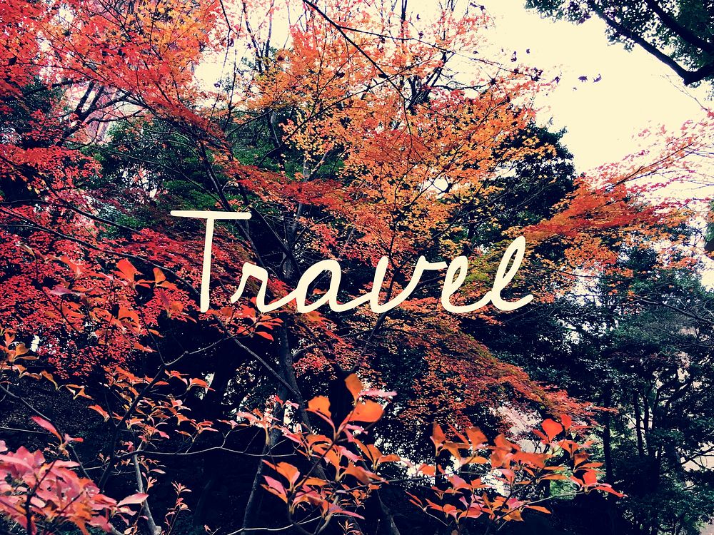 Autumn leaf japan landmark with travel word