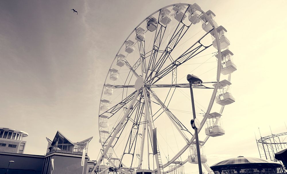 Ferris Wheel Festival Amusement Carnival Leisure