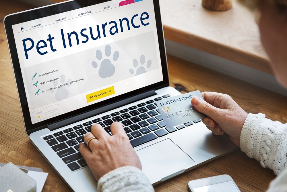 Pet Insurance Care Guarantee Concept