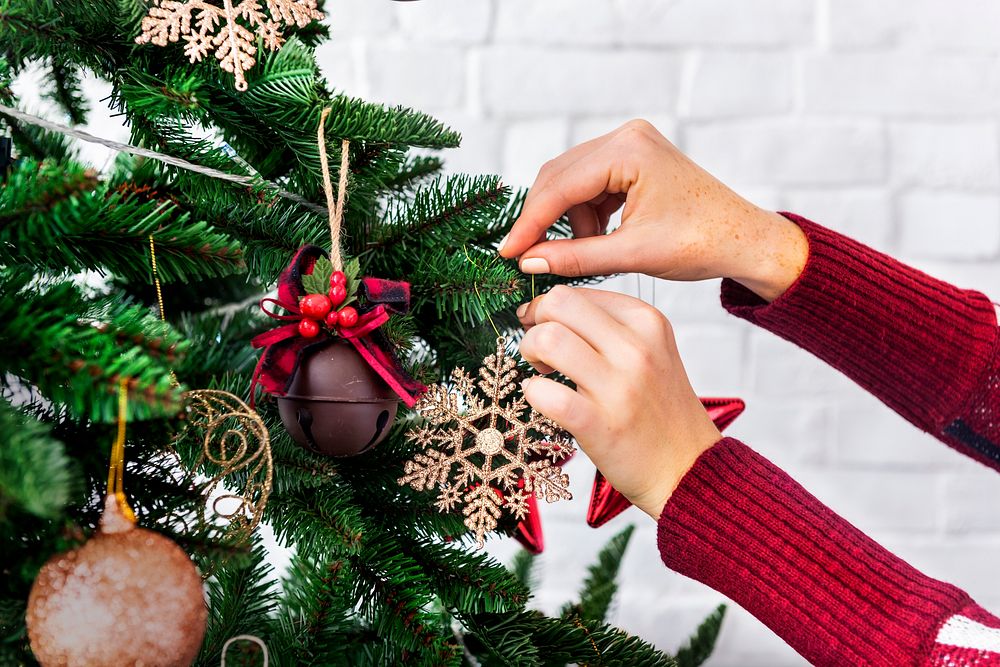 Decorating the Christmas tree