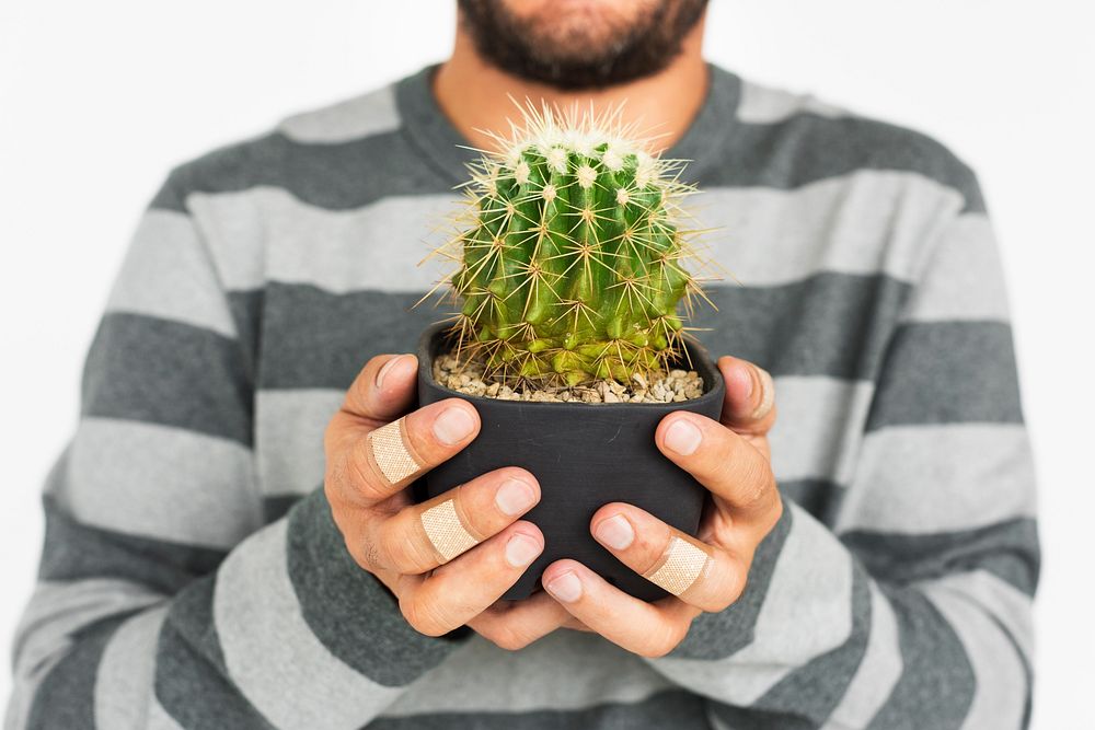 Close up of guy holding a cactus plant