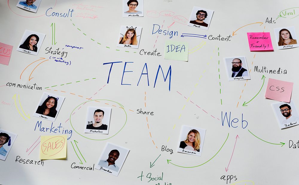 Web design developer team member