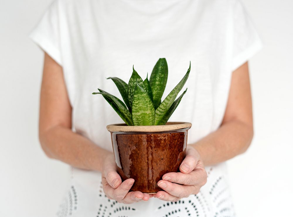 WOman holding a plant
