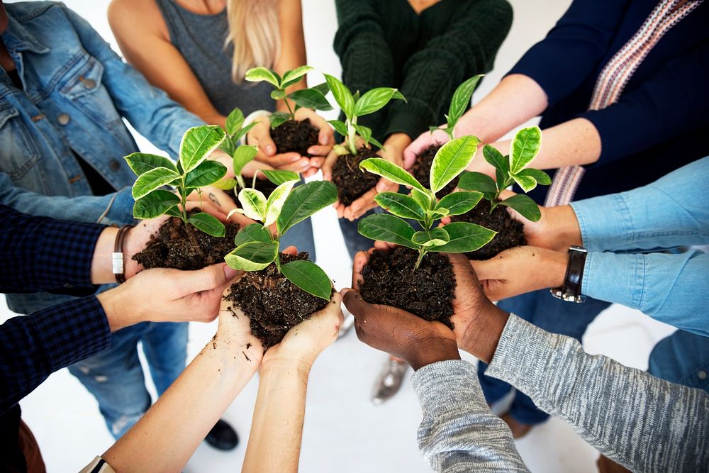 People holding plants in their hands