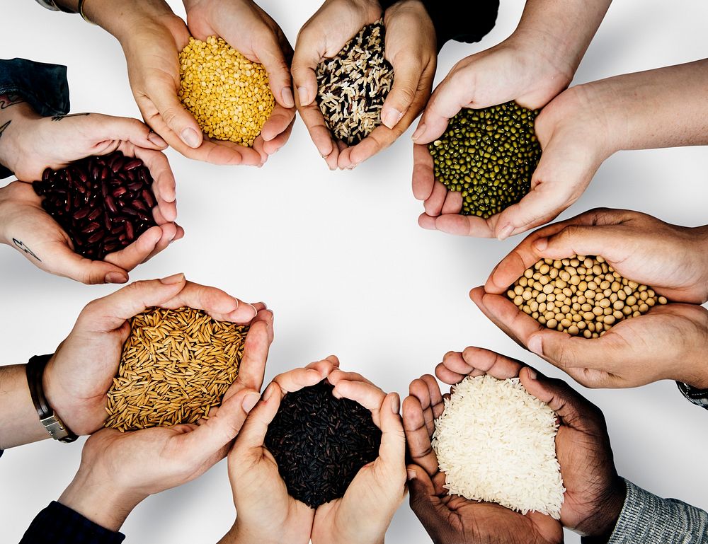 Diverse People Palms Holding Grains Superfood