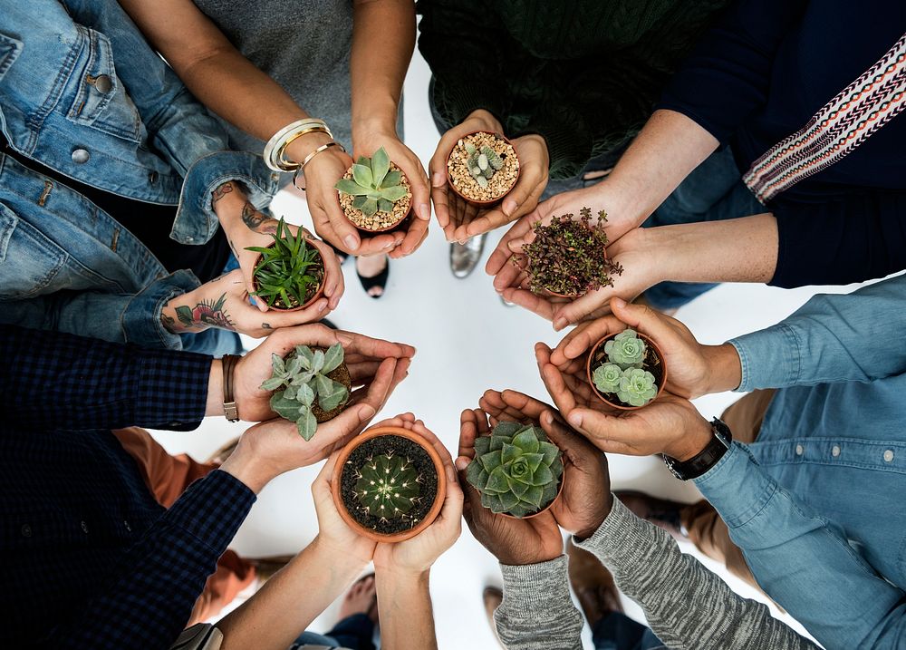 People holding plants in their hands