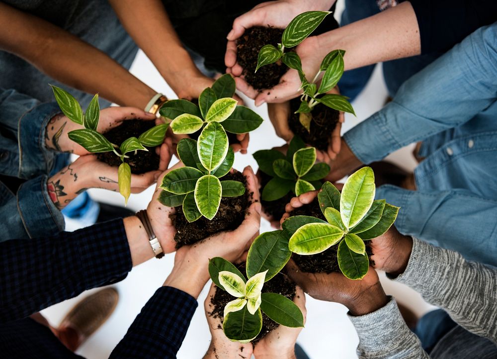 Diverse People Hands Hold Plants Nature