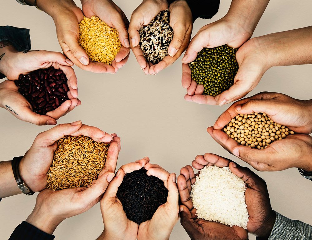 Hands with healthy organic seeds from nature product