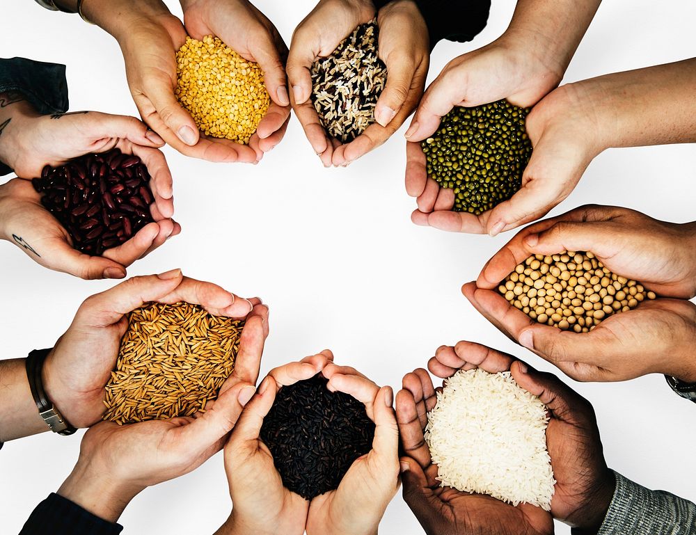 Hands with healthy organic seeds from nature product