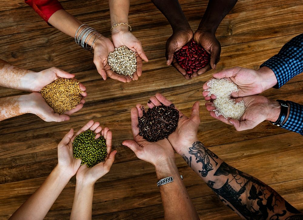 Diverse hands cupping seeds and grains