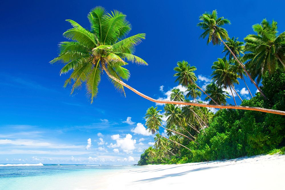 Tropical beach paradise in Samoa | Photo - rawpixel