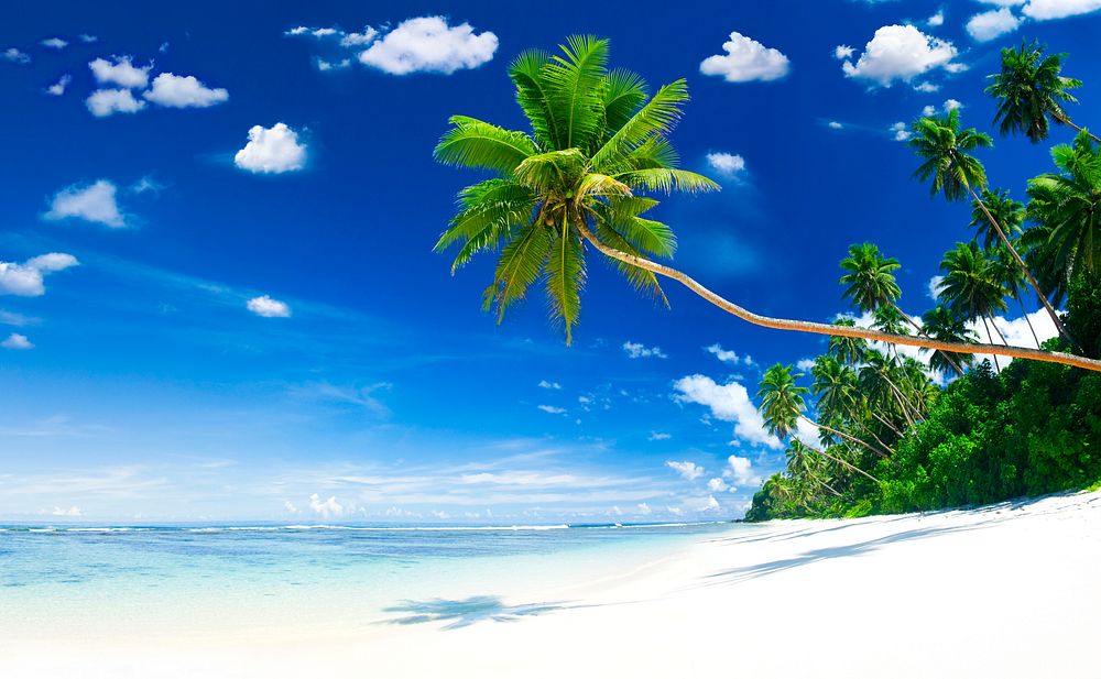 Tropical beach on Samoa | Premium Photo - rawpixel