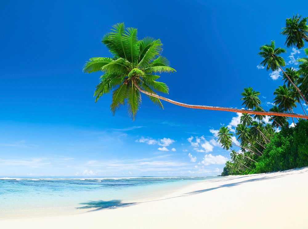 Tropical beach paradise in Samoa