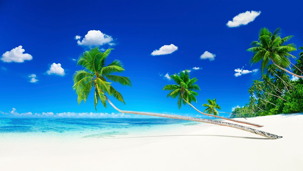 Scenic view of the sea shore with white sand and coconut palm trees.
