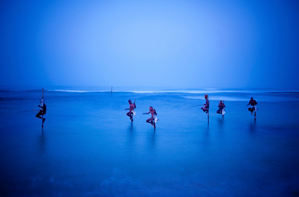 Traditional stilt fishermen in Sri Lanka.