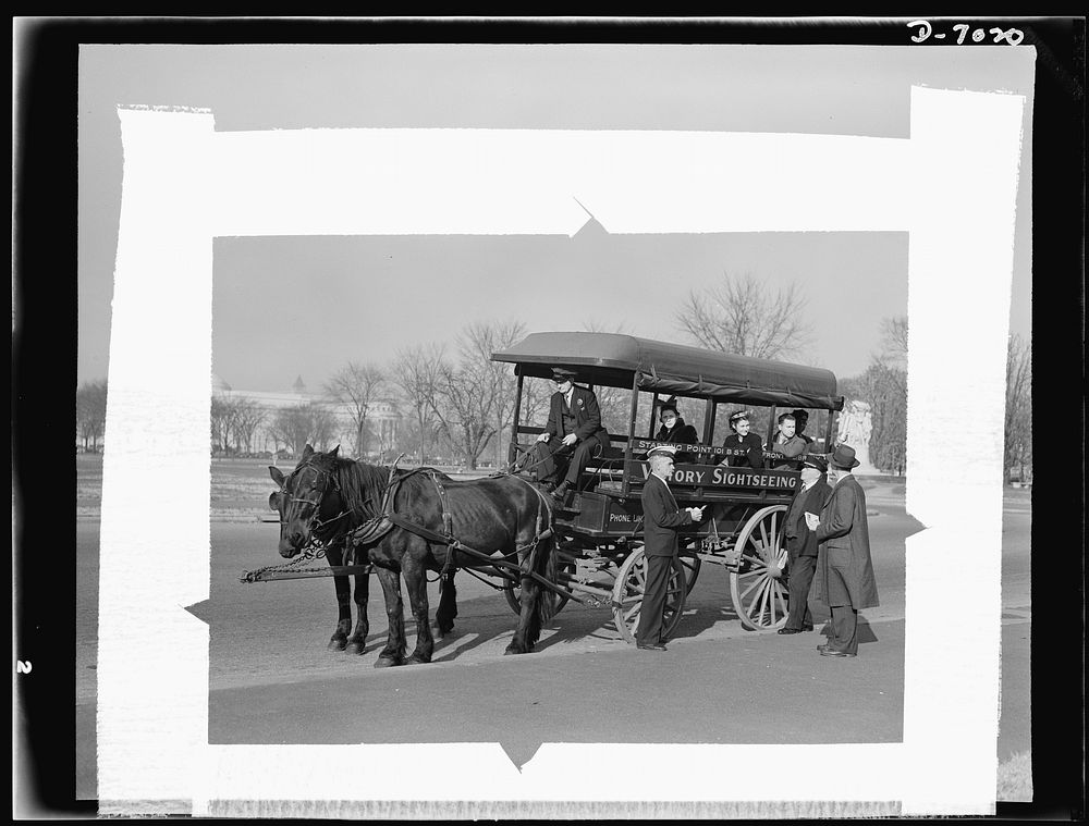 Transportation. Sight-seeing bus. Faced with a ban on motor buses for sightseeing purposes, Jimmy Grace obtained a horse…