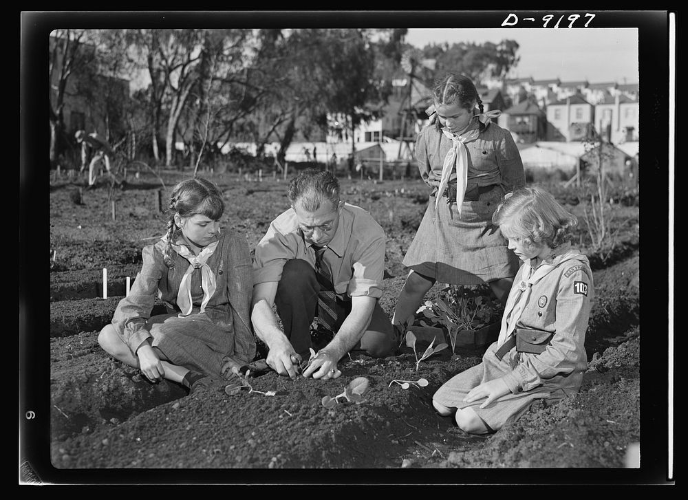 Victory Gardens--for family and country. Guiding hand behind the establishment of many West coast Victory Gardens, Professor…