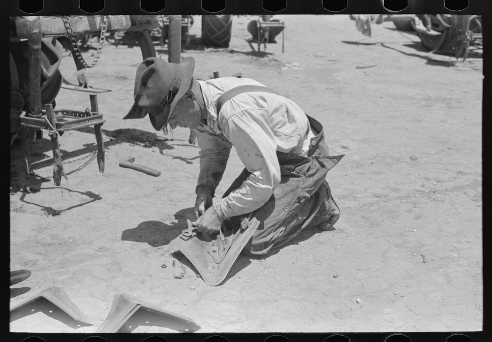 Day laborer adjusting plow points on tractor-drawn planter, farm near Ralls, Texas by Russell Lee