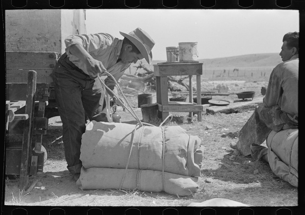 [Untitled photo, possibly related to: Cowboy tying up bedroll. Cattle ranch near Marfa, Texas] by Russell Lee