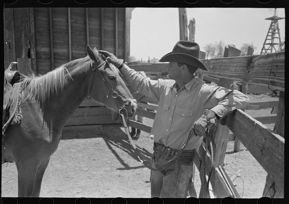 Cowboy petting his horse. Cattle ranch near Spur, Texas by Russell Lee