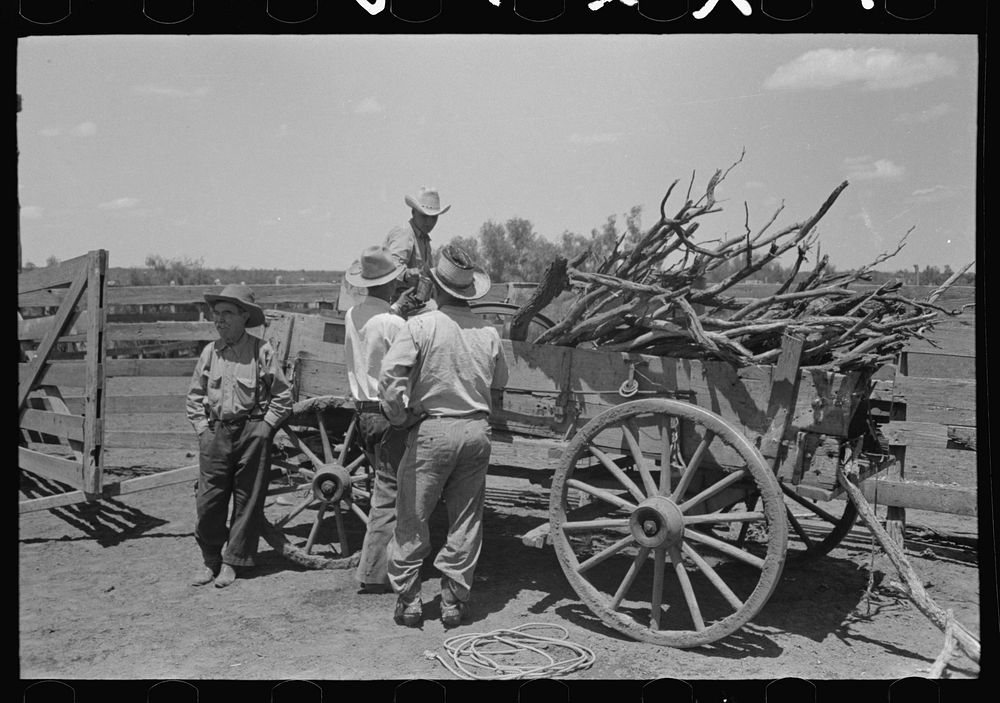 [Untitled photo, possibly related to: Wagon load of wood for cooking. Cattle ranch near Spur, Texas] by Russell Lee