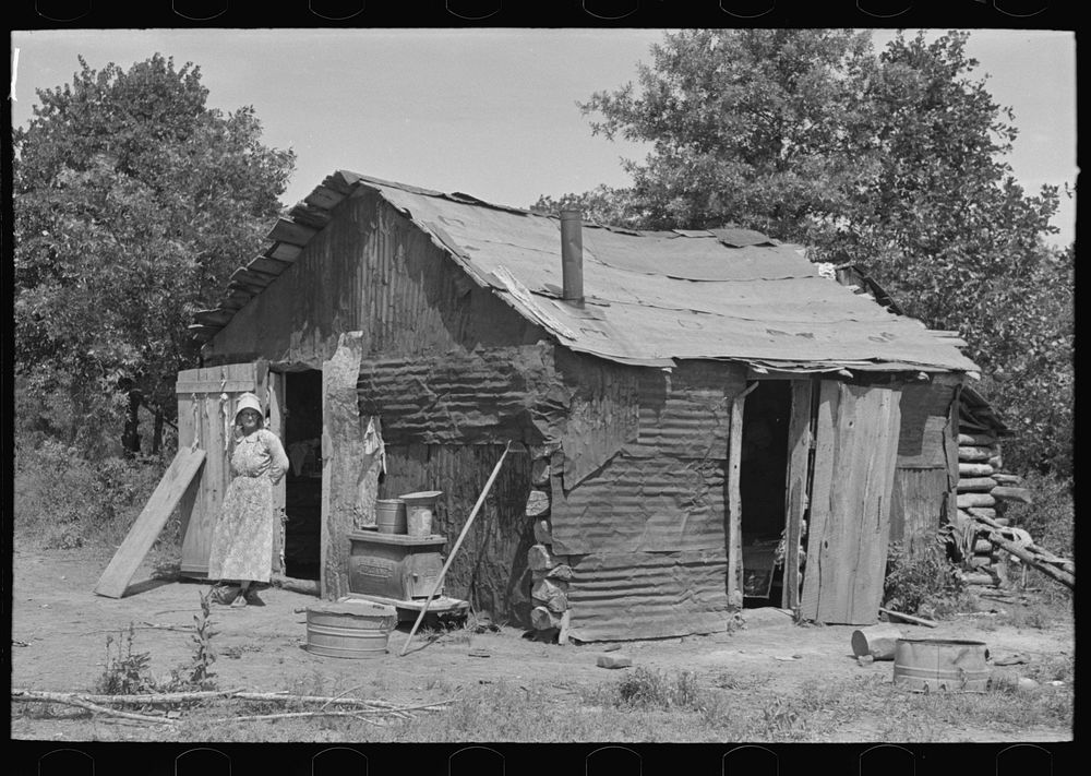 [Untitled photo, possibly related to: White woman, tenant farmer, feeding weeds to her hogs, McIntosh County, Oklahoma] by…