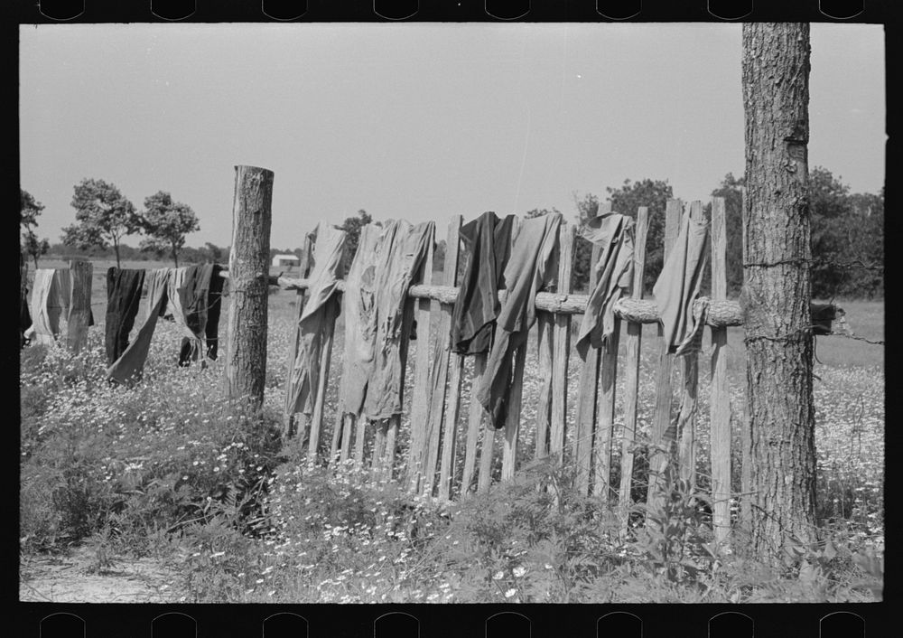 Clothes of white agricultural day laborer's family drying on the fence, north of Sallisaw, Sequoyah County, Oklahoma by…